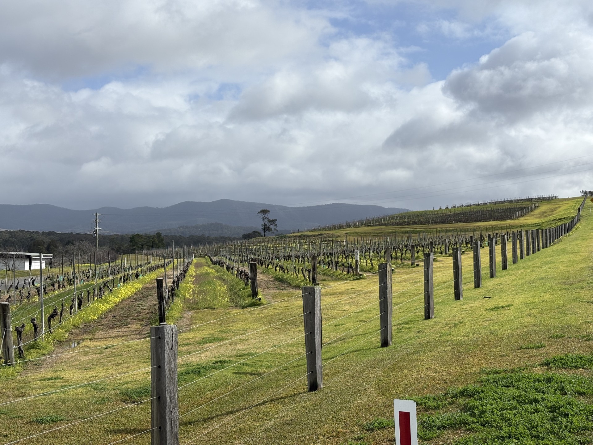 Hunter Valley Wine Tour