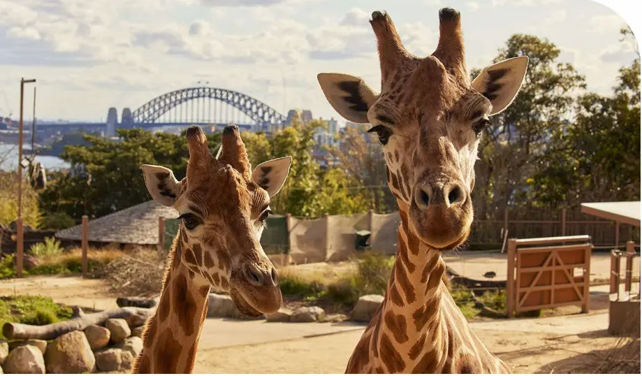 Taronga Zoo