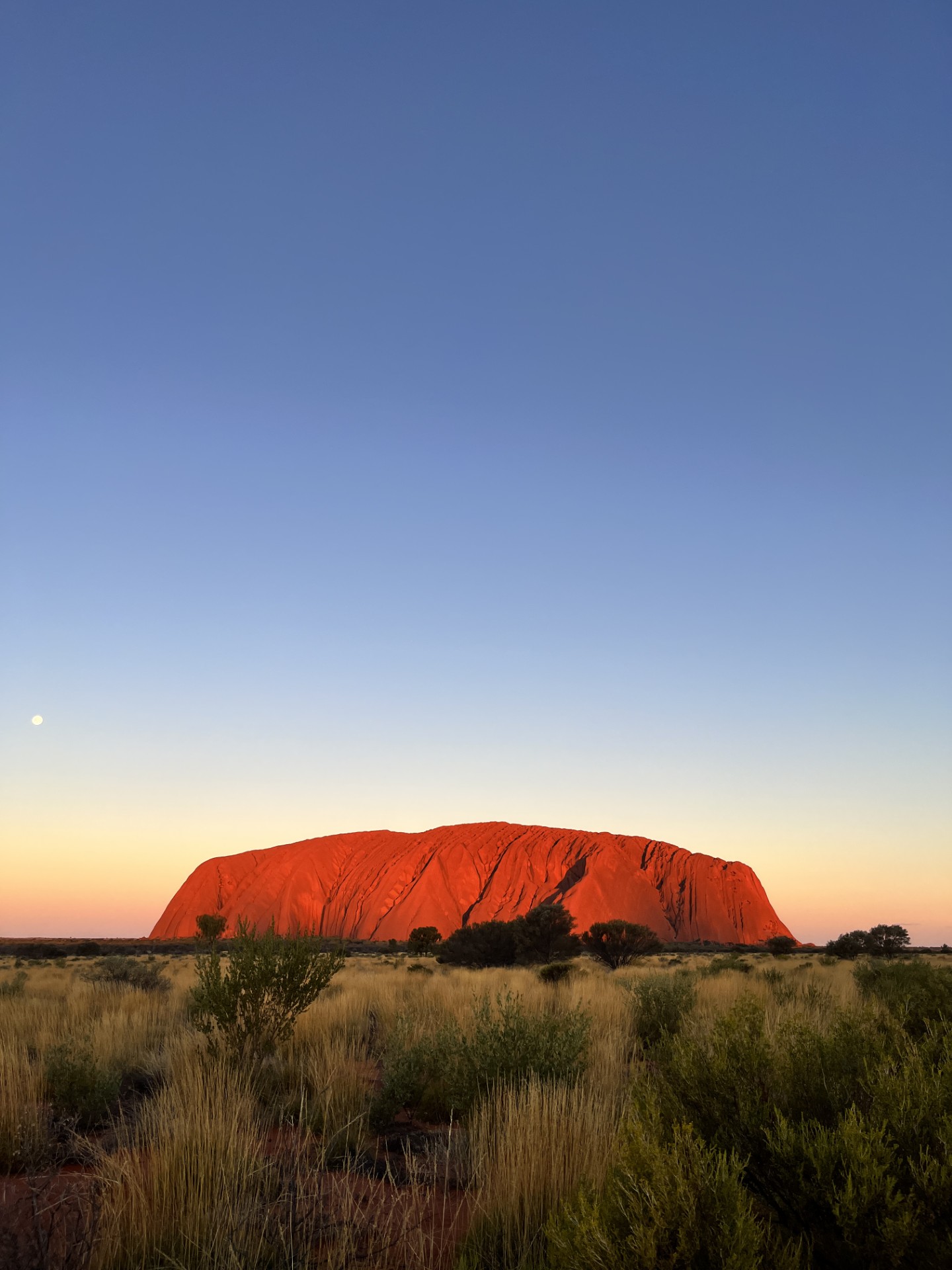 Uluru Field of Light