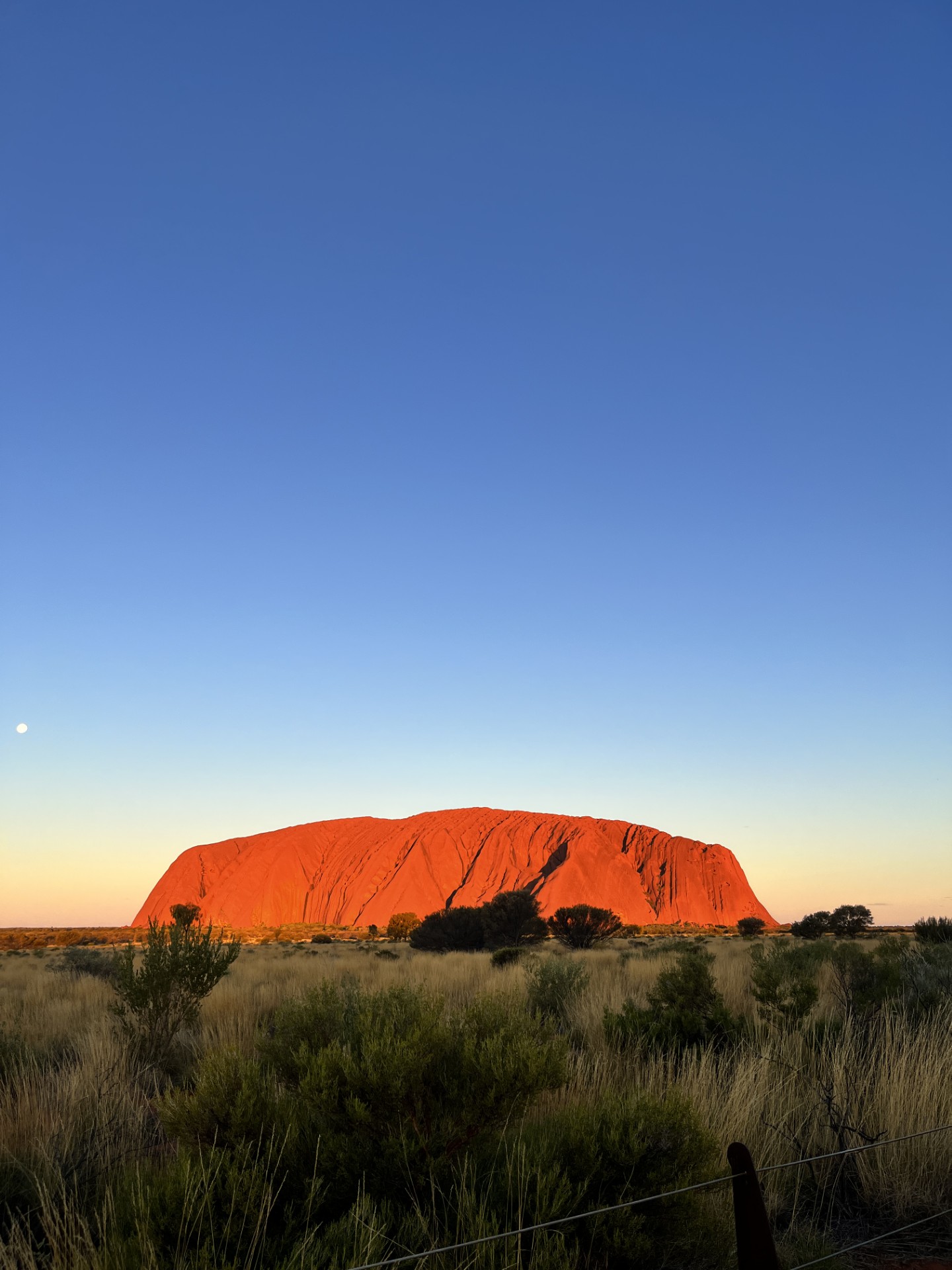 Alice Springs to Uluru Tour